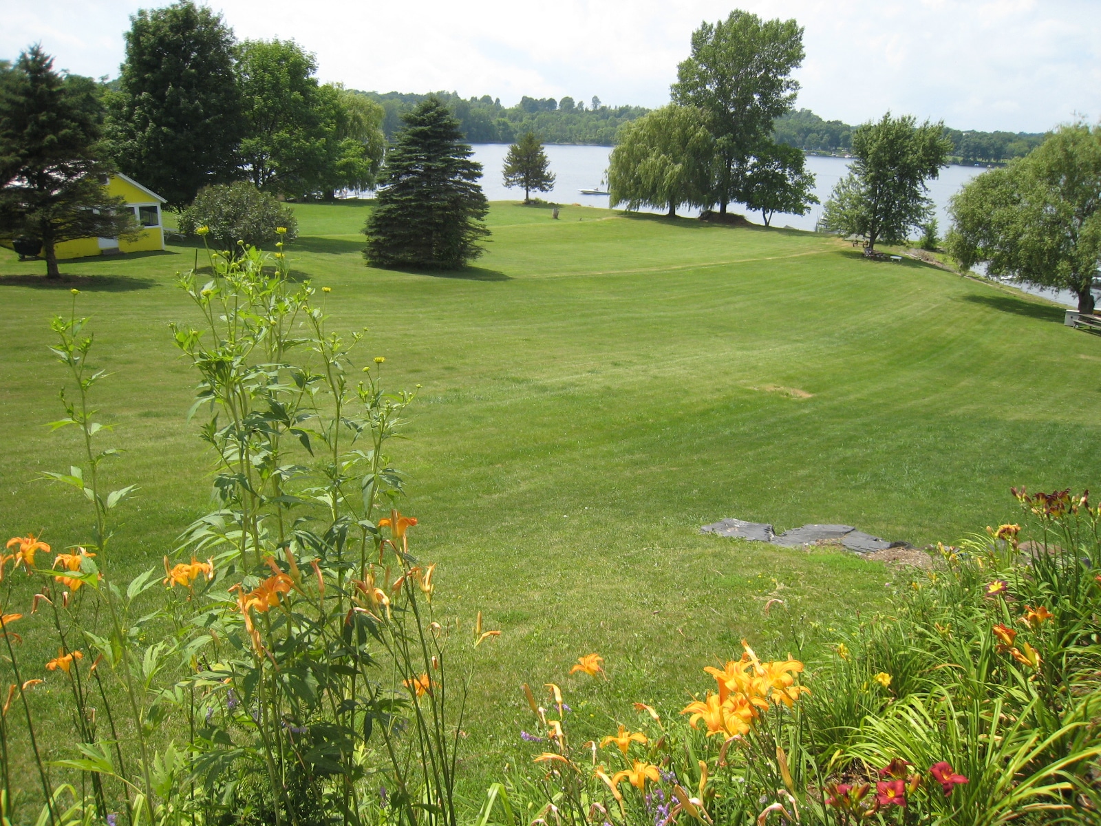 Green field
